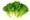 Зелень – салат, шпинат, укроп, базилик, кинза и пр.